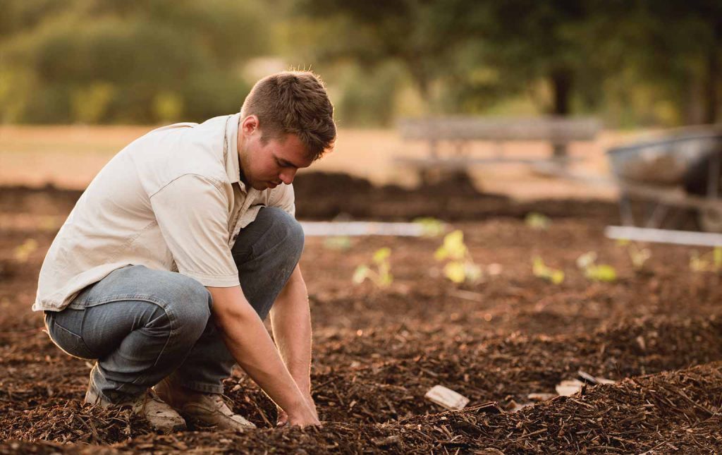 apoios para jovens agricultores