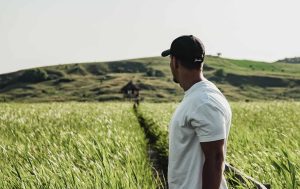 apoio jovens agricultores