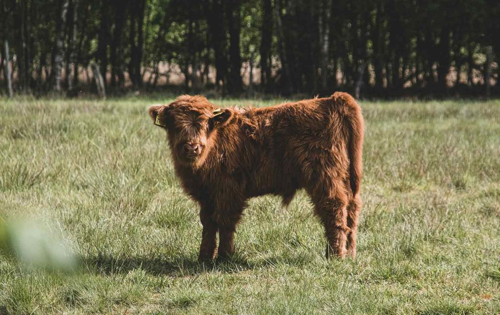 atrair jovens para o setor agrícola