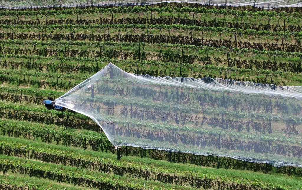 automação na agricultura em portugal