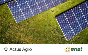 Eficiência Energética e Descarbonização