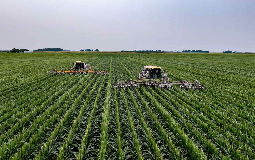 Inteligência Artificial na agricultura