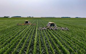 Inteligência Artificial na agricultura