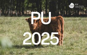Pedido único 2025