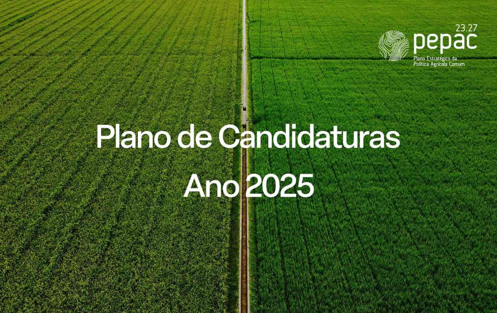 Plano Anual de Candidaturas PEPAC