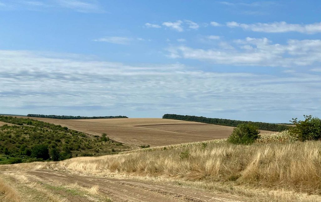 Valorização da agricultura nacional