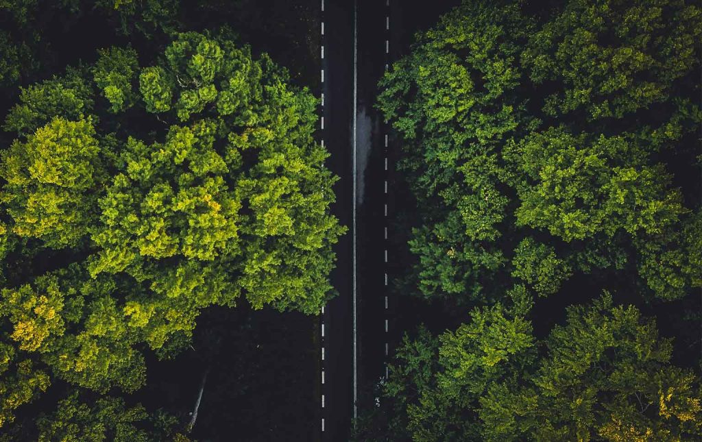 sustentabilidade empresarial