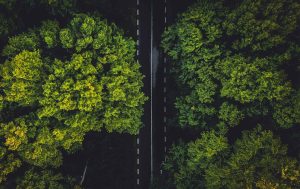 sustentabilidade empresarial