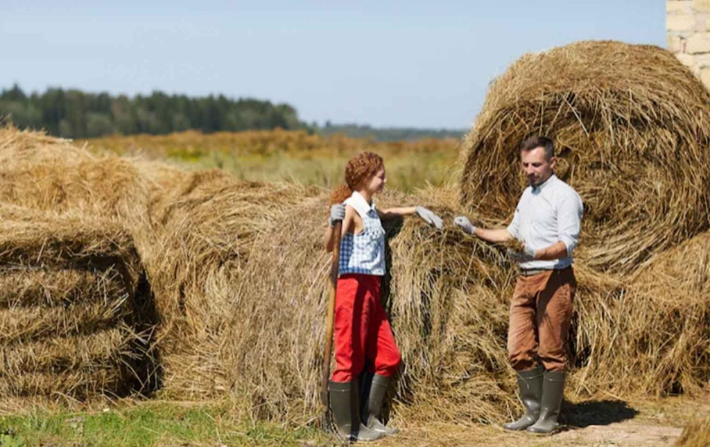 apoios pepac para jovens agricultores