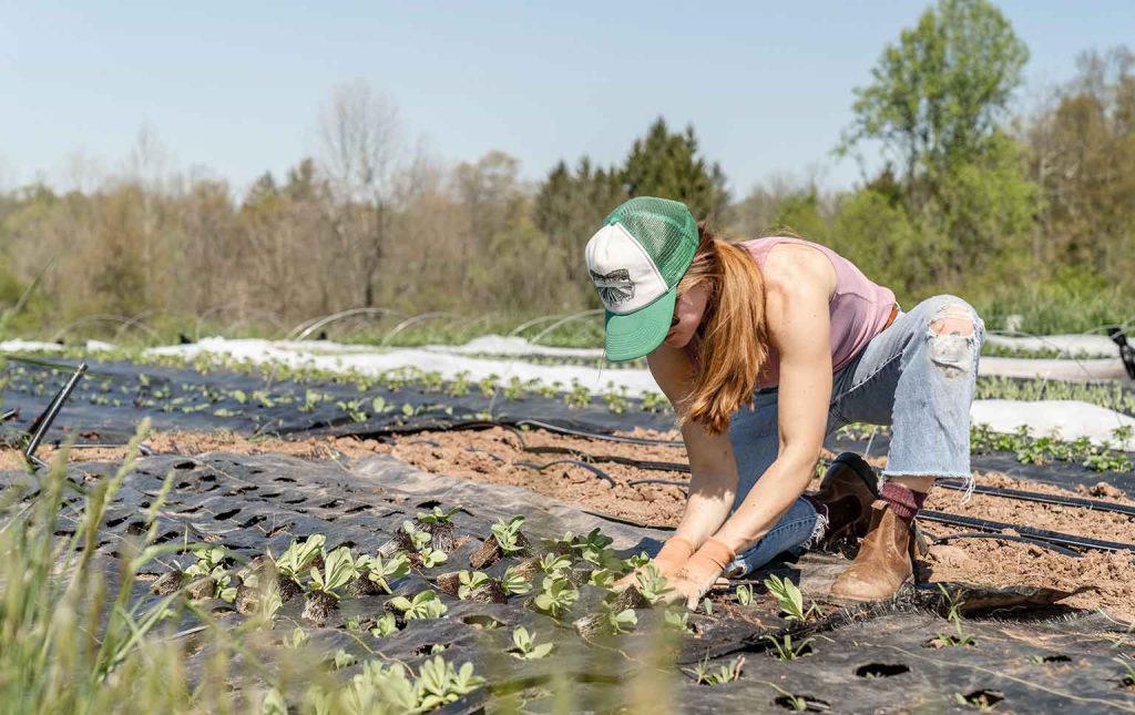 PEPAC para jovens agricultores