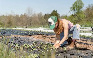 PEPAC para jovens agricultores