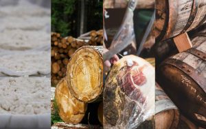 investimentos na bioeconomia