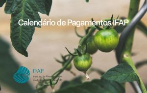 Calendário de Pagamentos IFAP
