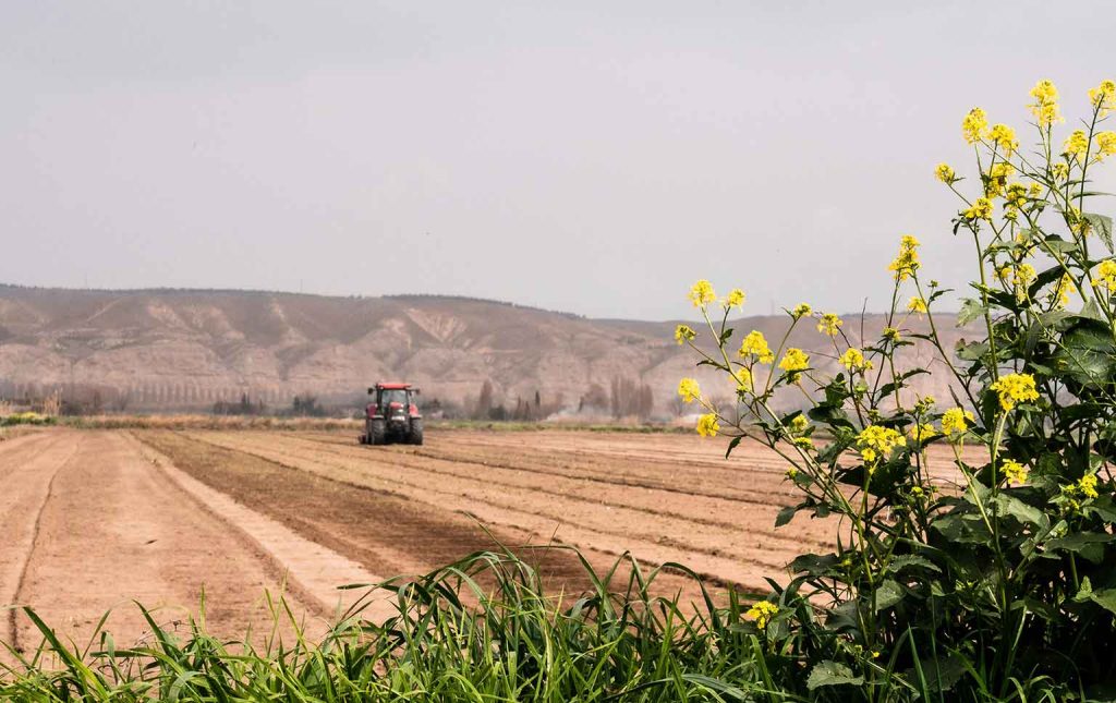 candidatura ao pepac