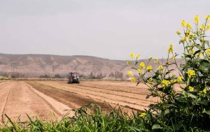 candidatura ao pepac