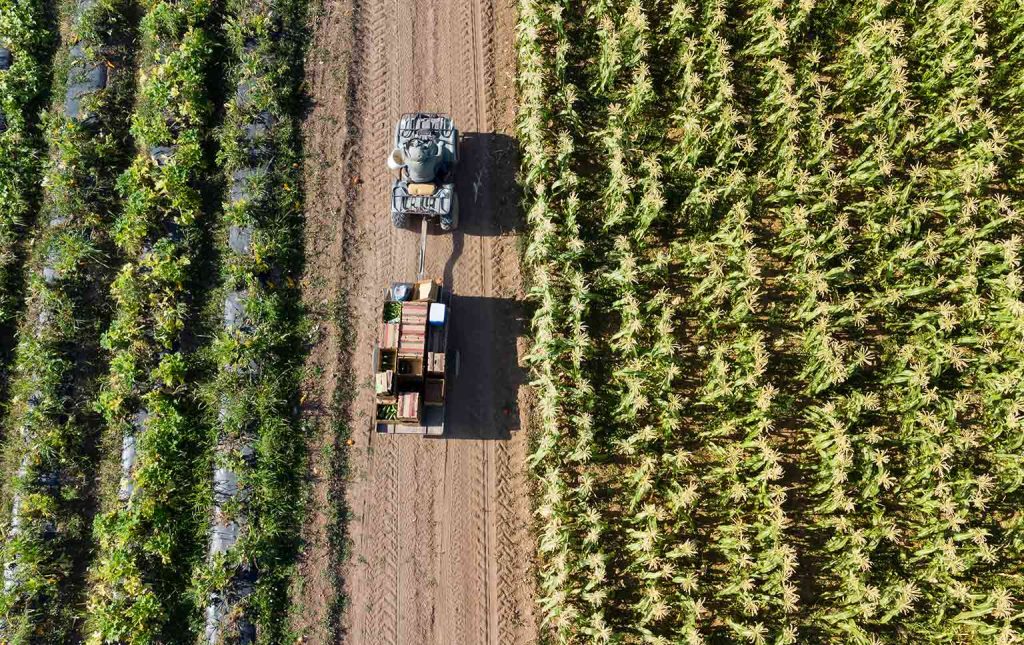 candidaturas agrícolas