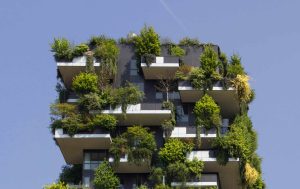 descarbonização empresarial