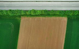 evolução da agricultura em Portugal