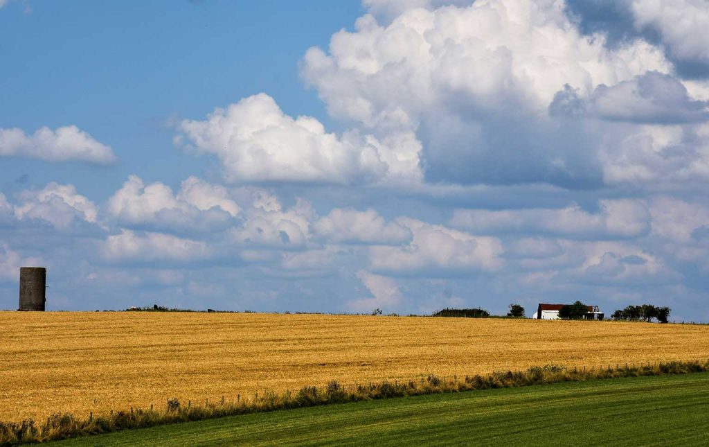 falta de seguros climáticos