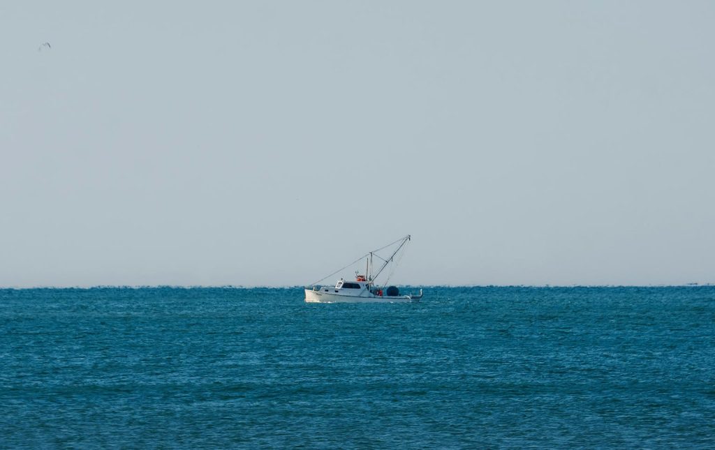 inovação no setor das pescas