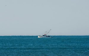 inovação no setor das pescas