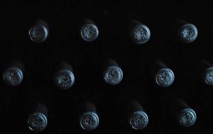 novas políticas para o setor do vinho