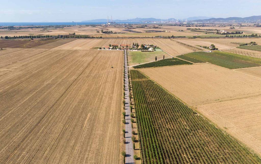 desafios da produção agrícola em Portugal