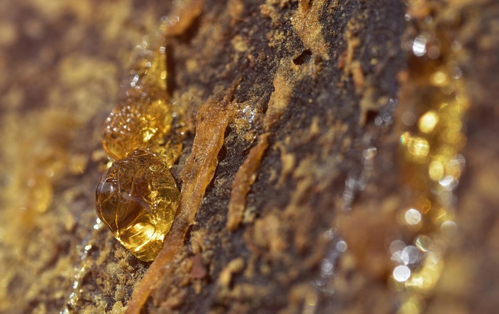 produção de resina em Portugal