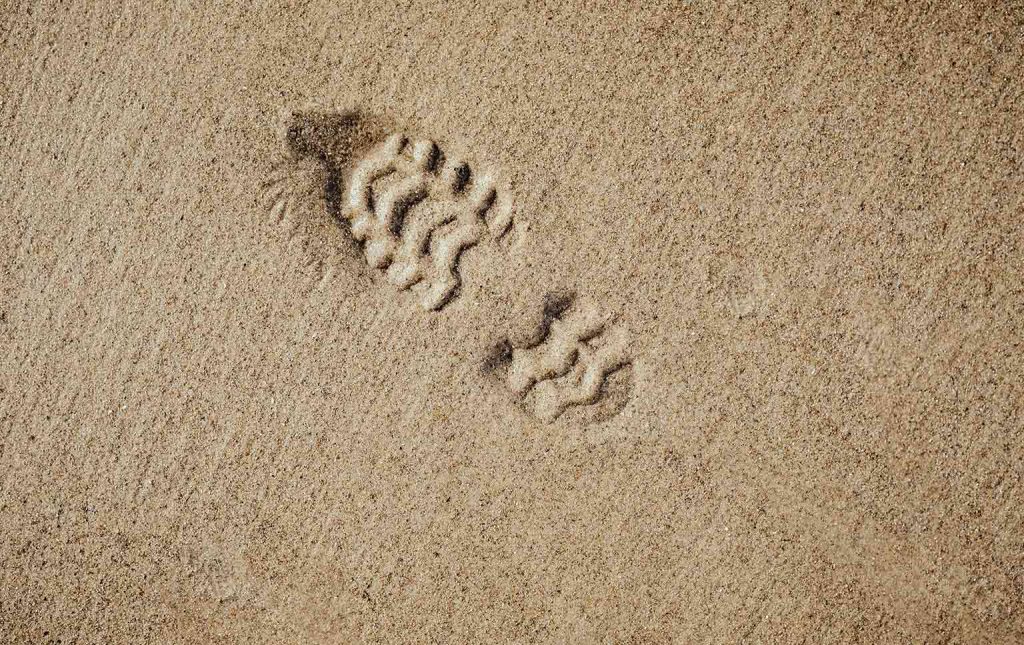 reduzir a pegada de carbono