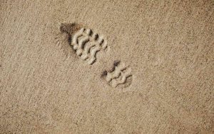 reduzir a pegada de carbono