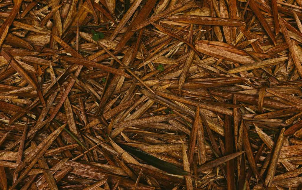 resíduos agrícolas para vestuário