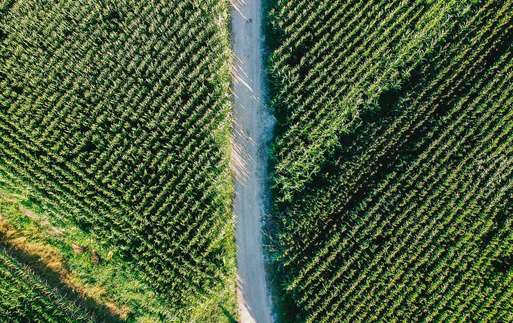 setor agrícola em portugal