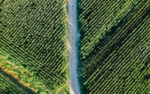 setor agrícola em portugal