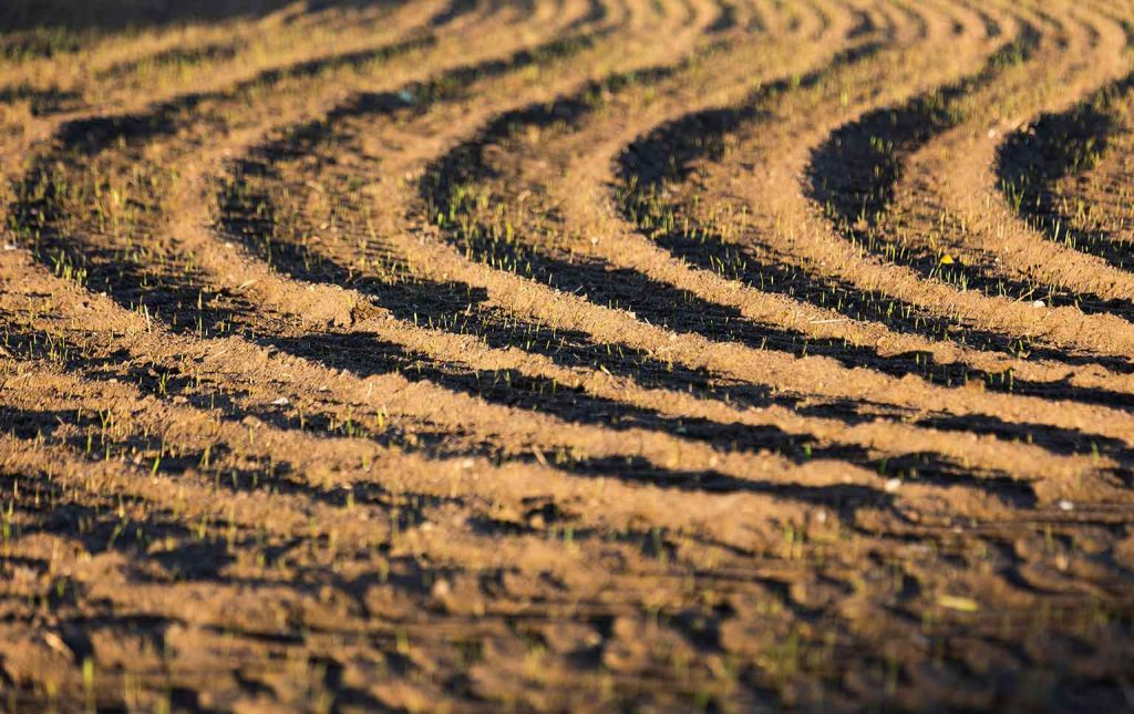 sustentabilidade agrícola