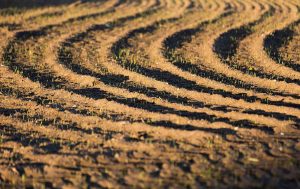 sustentabilidade agrícola