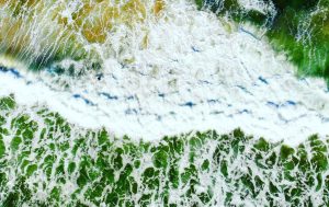 sustentabilidade real