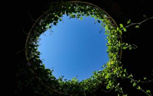 apoio economia circular