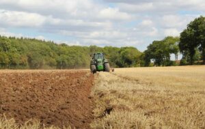 pequenos investimentos agrícolas