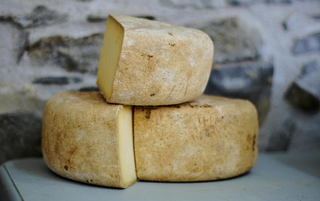 Pequenos Investimentos na Bioeconomia e Economia Circular - GAL RIBALOCAL