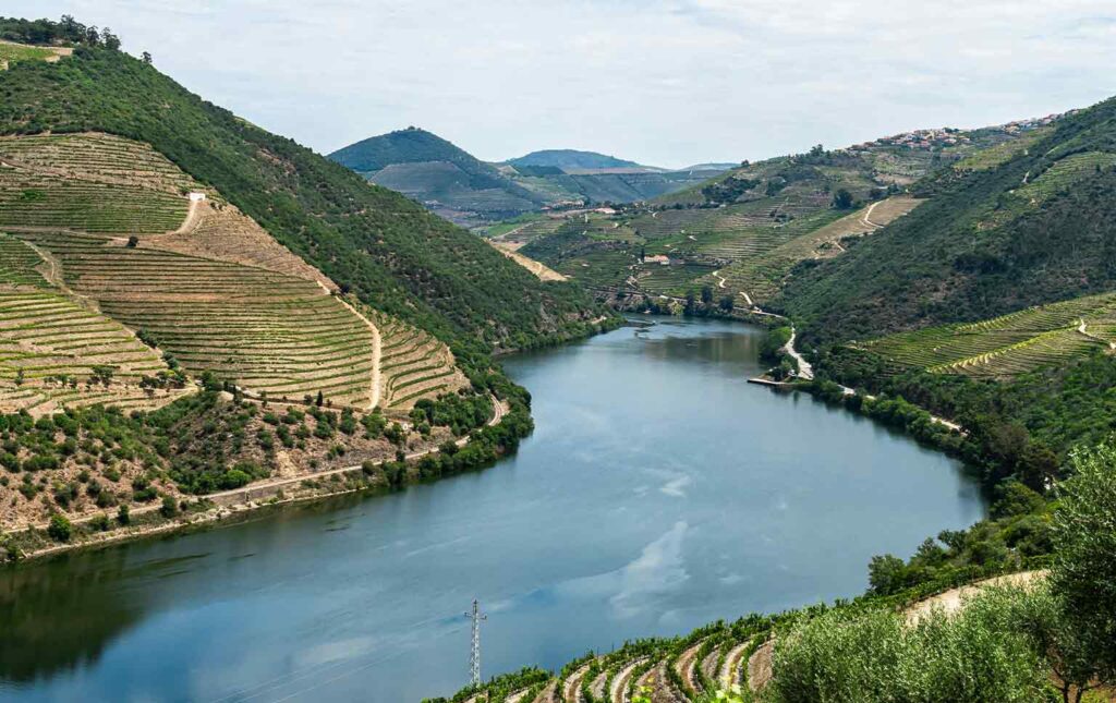 Sistema de incentivos de base territorial douro