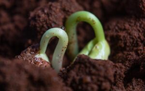 investimento produtivo agrícola