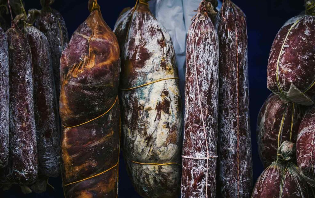 pequenos-investimentos-na-bioeconomia-TERRAS-DENTRO