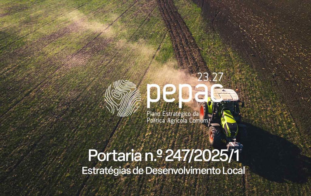 apoios pepac para pequenos investimentos