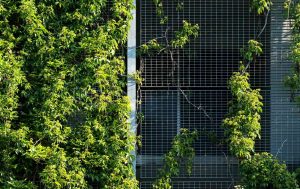 reporte ESG