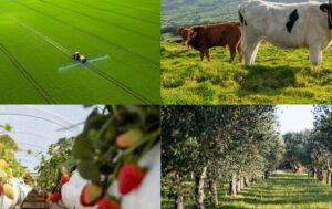 apoio modernização agrícola