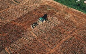 IFAP agricultura