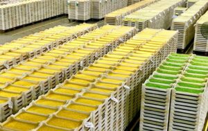 recolha de embalagens agrícolas