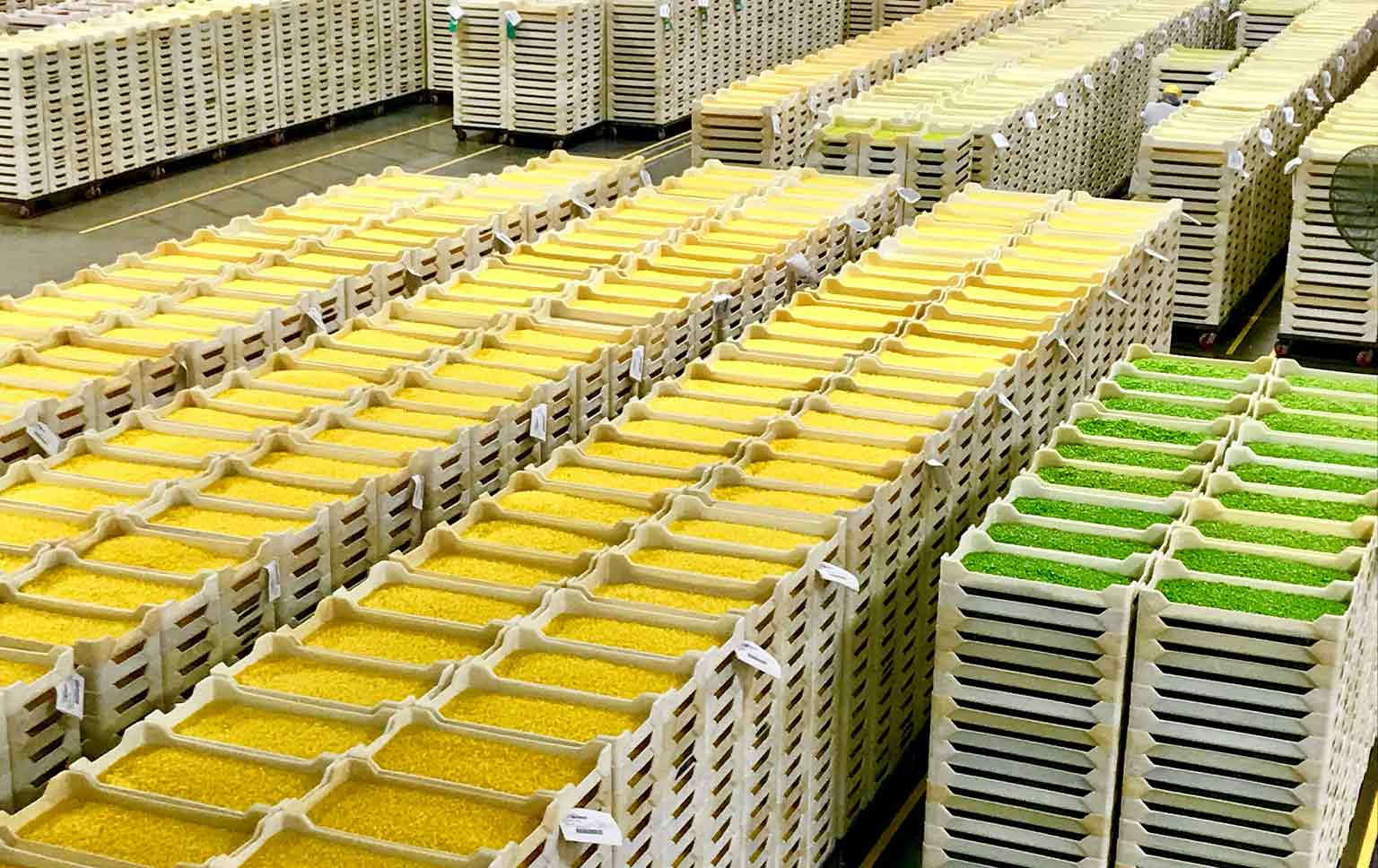 recolha de embalagens agrícolas