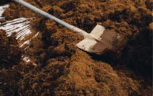 compostagem