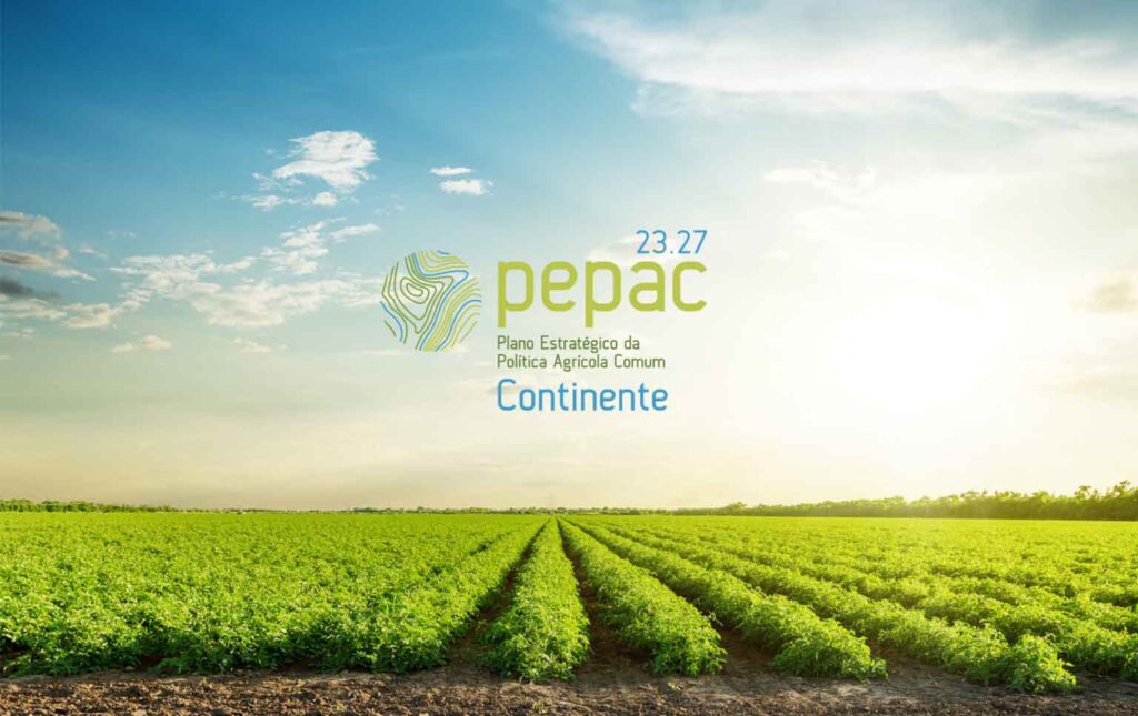 Alterações PEPAC